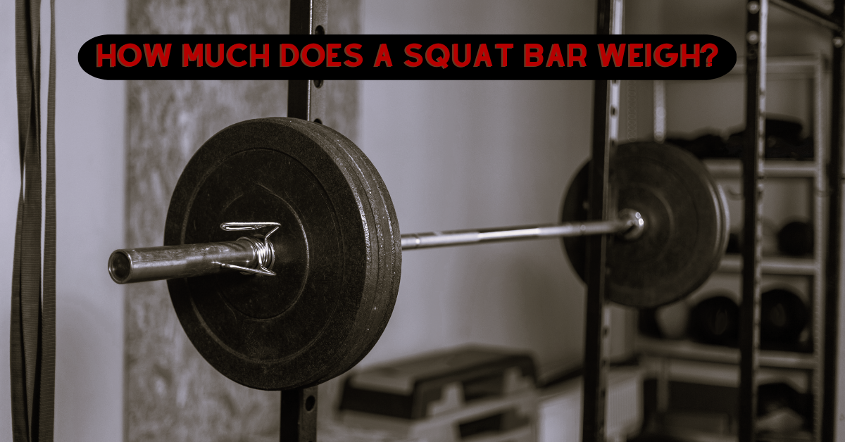 How Much Does A Squat Bar Weigh? "Safety", "Cambered" And All The Rest