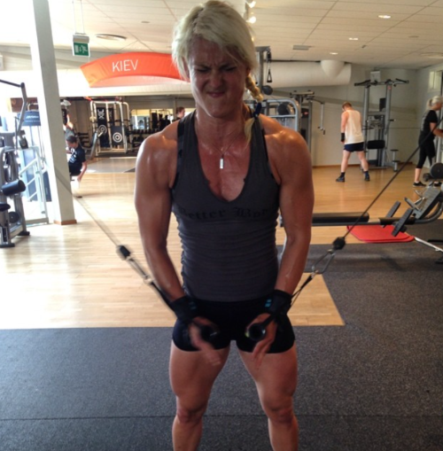 arm machines at the gym